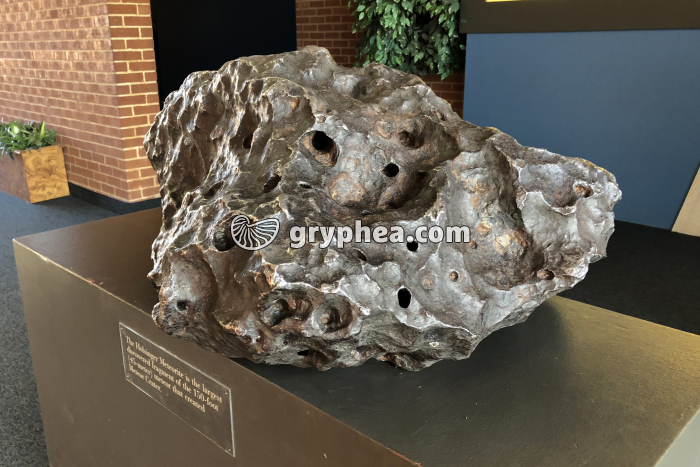 Météorite de Meteor Crater (vestige) (Arizona, USA) - gryphea.com